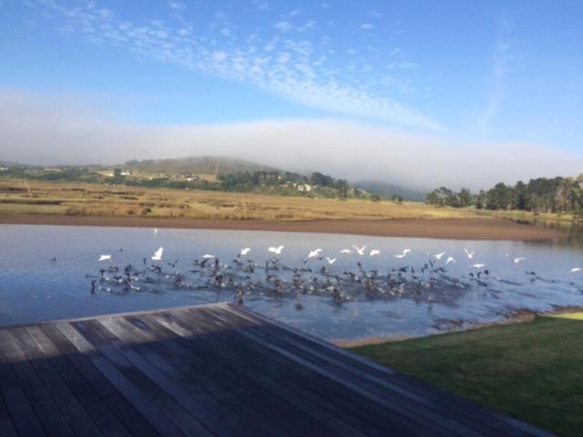 Moonriver Self Catering Plettenberg Bay Exteriör bild